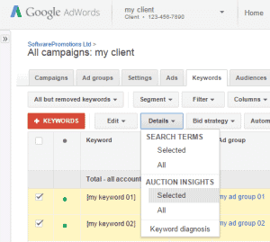 AdWords auction insights report