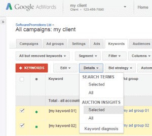 relatório AdWords auction insights