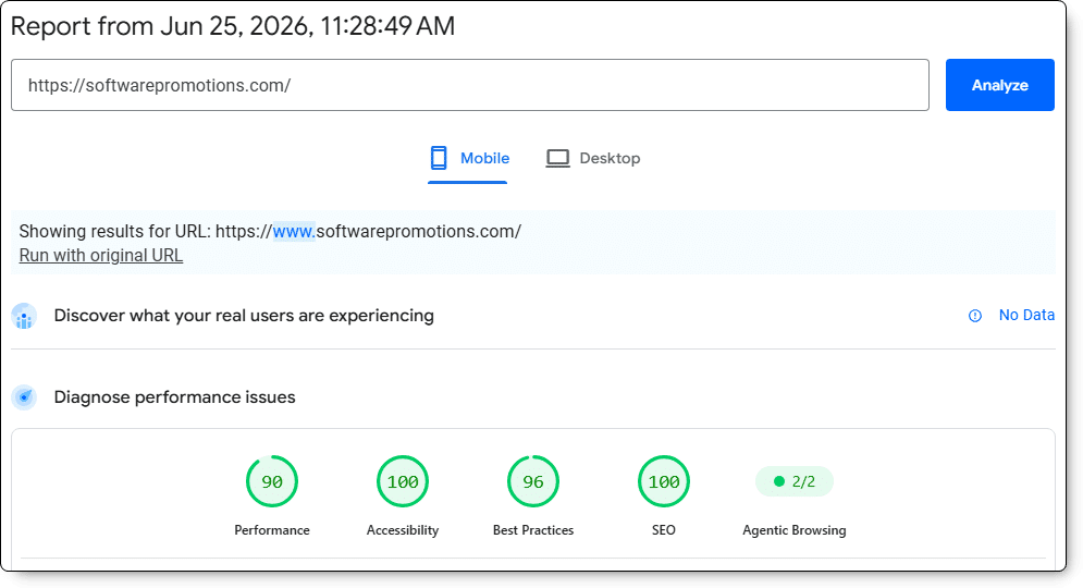 PageSpeed insight score